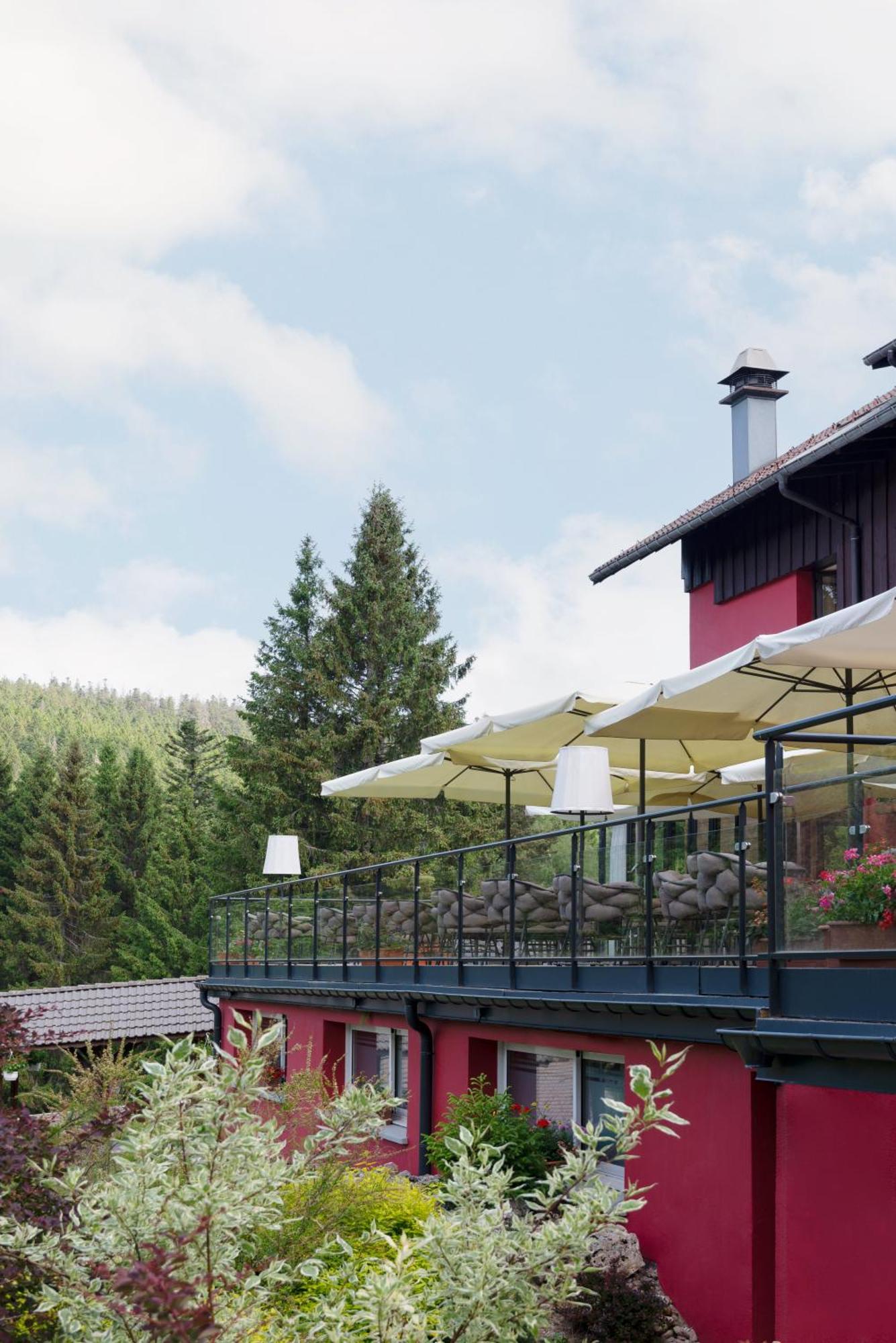 Hotel Restaurant Spa Les Jardins De Sophie Ксонрю-Лонжмер Екстер'єр фото